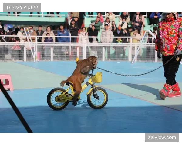 北美现有体育场馆资源获充分利用 平均容量超六万人